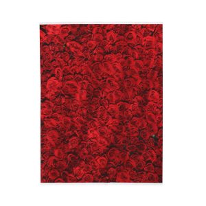 Velveteen Plush Blanket